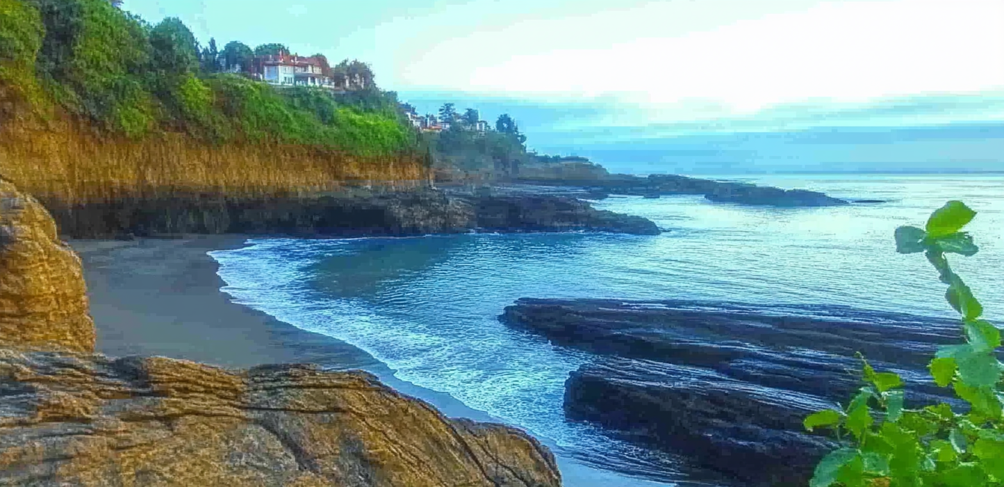 Coastal landscape Ceramic Coffee Cups, 11oz